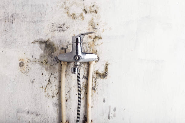 Best Affordable Mold Removal  in De Leon Springs, FL