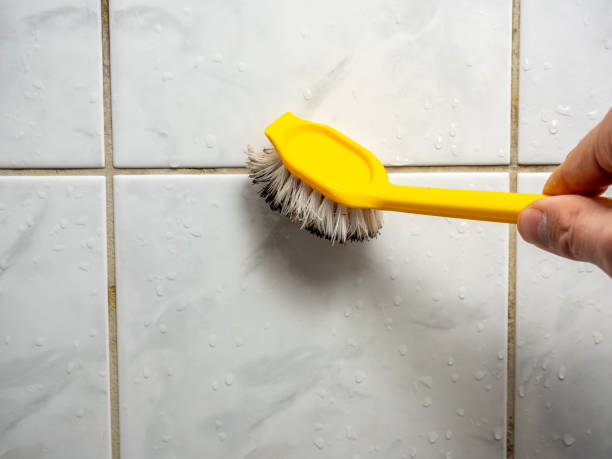 Mold Testing and Removal in De Leon Springs, FL