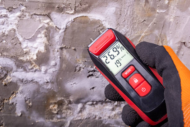 Best Office Mold Removal Services  in De Leon Springs, FL