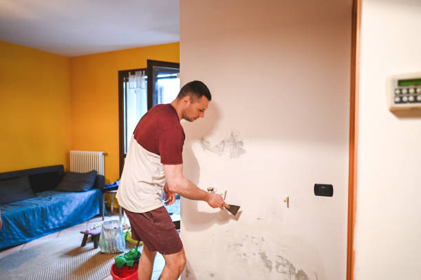 Mold Removal and Inspection in De Leon Springs, FL